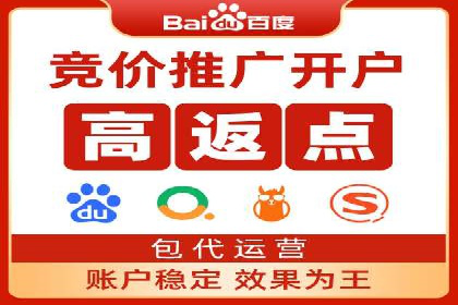 某品牌sem竞价托管代运营的精彩瞬间